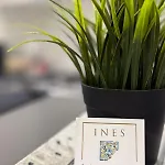 Ines * 지아르디니낙소스